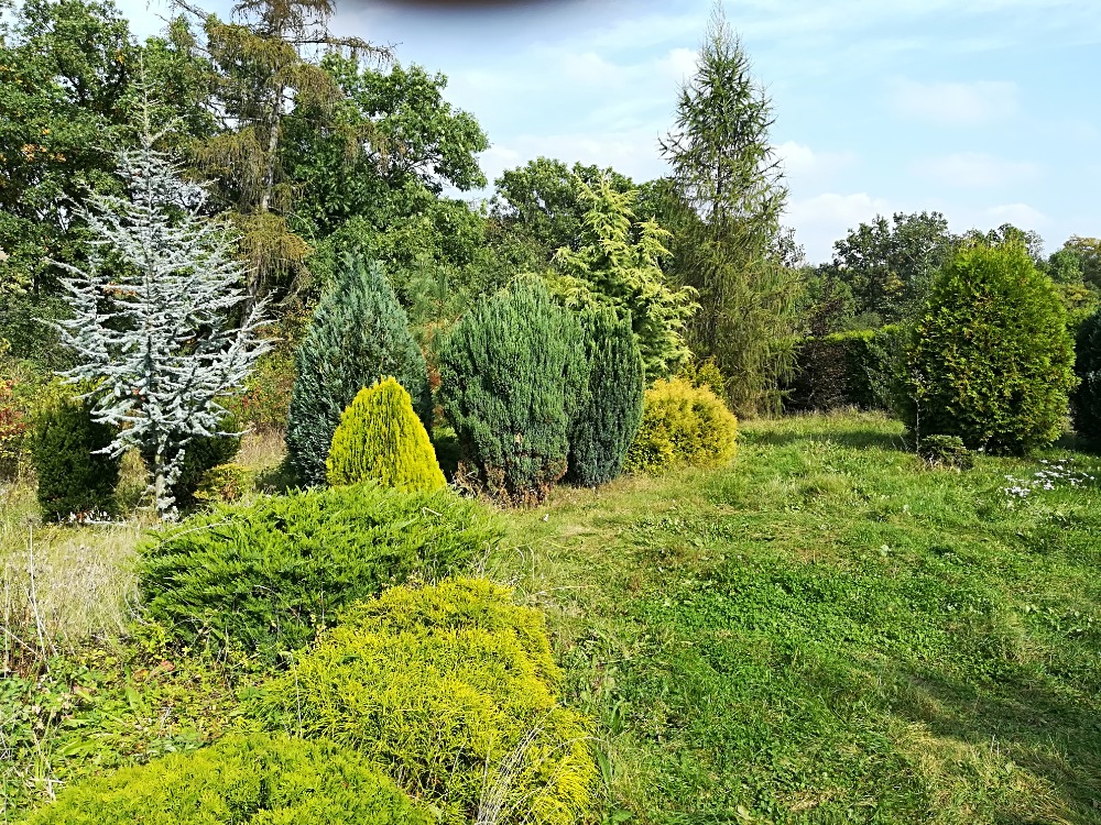 Chata – celková rekonstrukce - foto 29