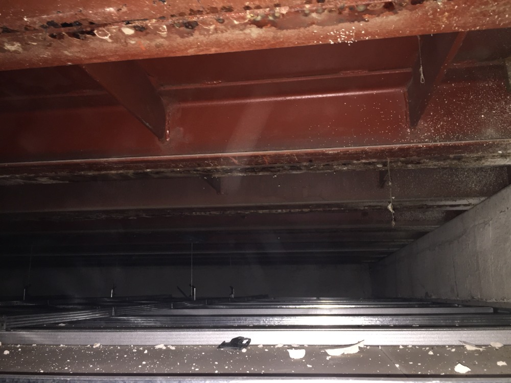 Budova Jankovcova – kompletní rekonstrukce - foto 82